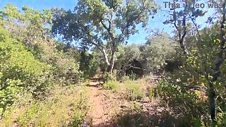 Outdoor Camper Gets Internal Creampie Public Forest