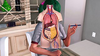 Visual novel, beautiful japanese, all animated