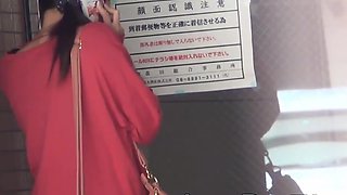 Adriana Chechick gets her hairy pussy filmed while peeing in public