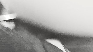 Riding Monster Stapon