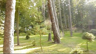 Woodyard