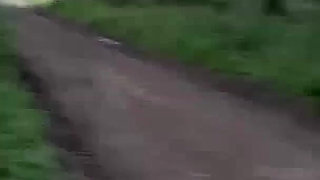 Walking Naked on the Hiking Trail