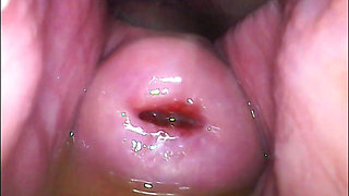 Extreme Close-up Pussy Cam