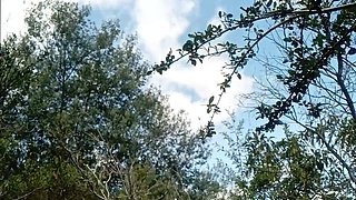 Milk Inside! Adventures in the Forest!