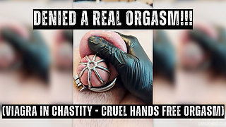 The Ultimate Chastity Collection 40 Mins of My 4 Best-selling Denial Clips!