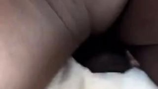 Swinger couples fucked