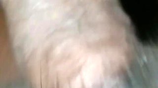 Chubby Pussy
