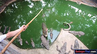Crocodile feeding and twat pleasing