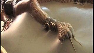 Hot cumshot for amateur fetish mature stockings slut