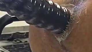 Extreme Fisting