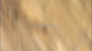 Jaidyn Ssbbw’s Latin Goddess Heat in a Kitchen Passion