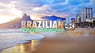 BRAZILIAN TRANSSEXUALS: Thaysa Carvalho returns