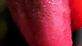 Sensual Blowjob with Cum in Mouth Softapprouch