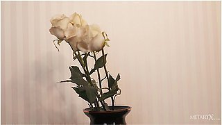 Bouquet - Elvida