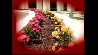 An Amazing Lesbian Threesome Who Know How to Pleasure Each Other