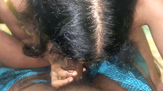 House Woner Fuked Sexy Housemaid