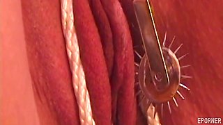 Mistress In Training BDSM porn