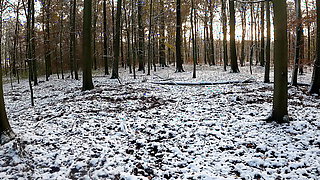 Throwing snow balls on her naked tits in the woods