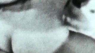 Vintage porn retro erotic theatre - glorious orgy