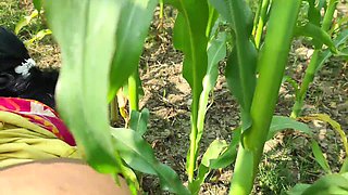 Bhabhi and Stepbrother in the Cornfield I Enjoyed Fucking.