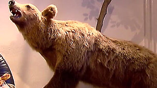 The Old Businessman Bangs His Hot Secretary