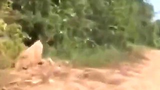 Cambodia Couple Go on Trip and Fuck