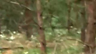 Milf and her black friend outdoor fuck