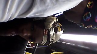 Brain's Blowjob on the Bus