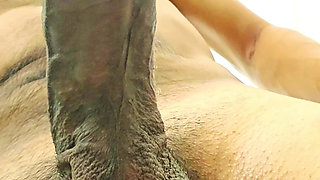 Big cock cumming