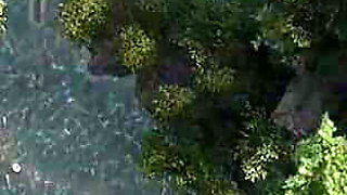 The Genesis Order by NLT - Part 36