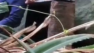 Indian Couples Are Sex in Jungle