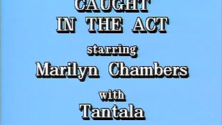 Classic Porn Dvds: Marilyn Chambers' Private Fant