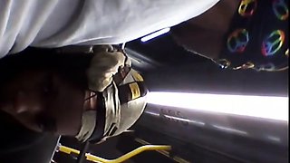 Brain's Blowjob on the Bus