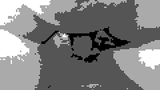 Close View to Action