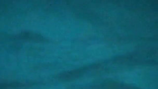 New Hairy Pussy Wife Bedroom Hardcore Fuck Sex