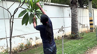 Indian Asian newly married bahu accidently hardcore fucked by Tharki sasurji- sasur bahu sex video.