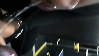 Brain's Blowjob on the Bus