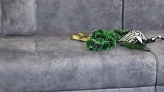 Mature Wife Behind the Scenes. a Home Camera Watches From the Side, as a Chubby MILF Records a Video for Her Lover. PAWG.