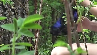 Flashing My Pussy in the Woods