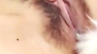 1mexican Latina Masturbating with a White Foxtail Plug in Her Ass Until Orgasm