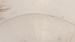 Licking Dirty Floor and Toilet, Flashing Head in It