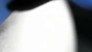Story of One Woman and Her Many Encounters with Men Even One with a BBC